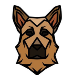 Raider Inu Logo