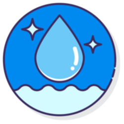 RAIN Network Logo