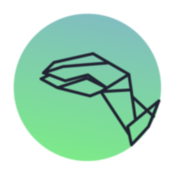 Raptor Finance Logo