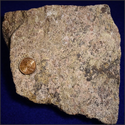 Rare Earth Elements (REEs) Logo