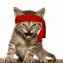 Red Kitten Crew Logo