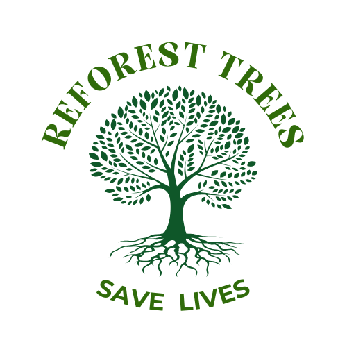 Logo Reforest Trees - Web3 Reforestation for a Regenerative Planet