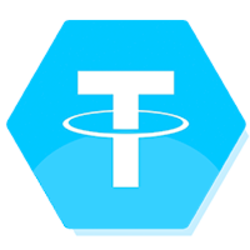 rhoUSDT Logo