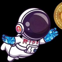 RISE2PROTOCOL Logo