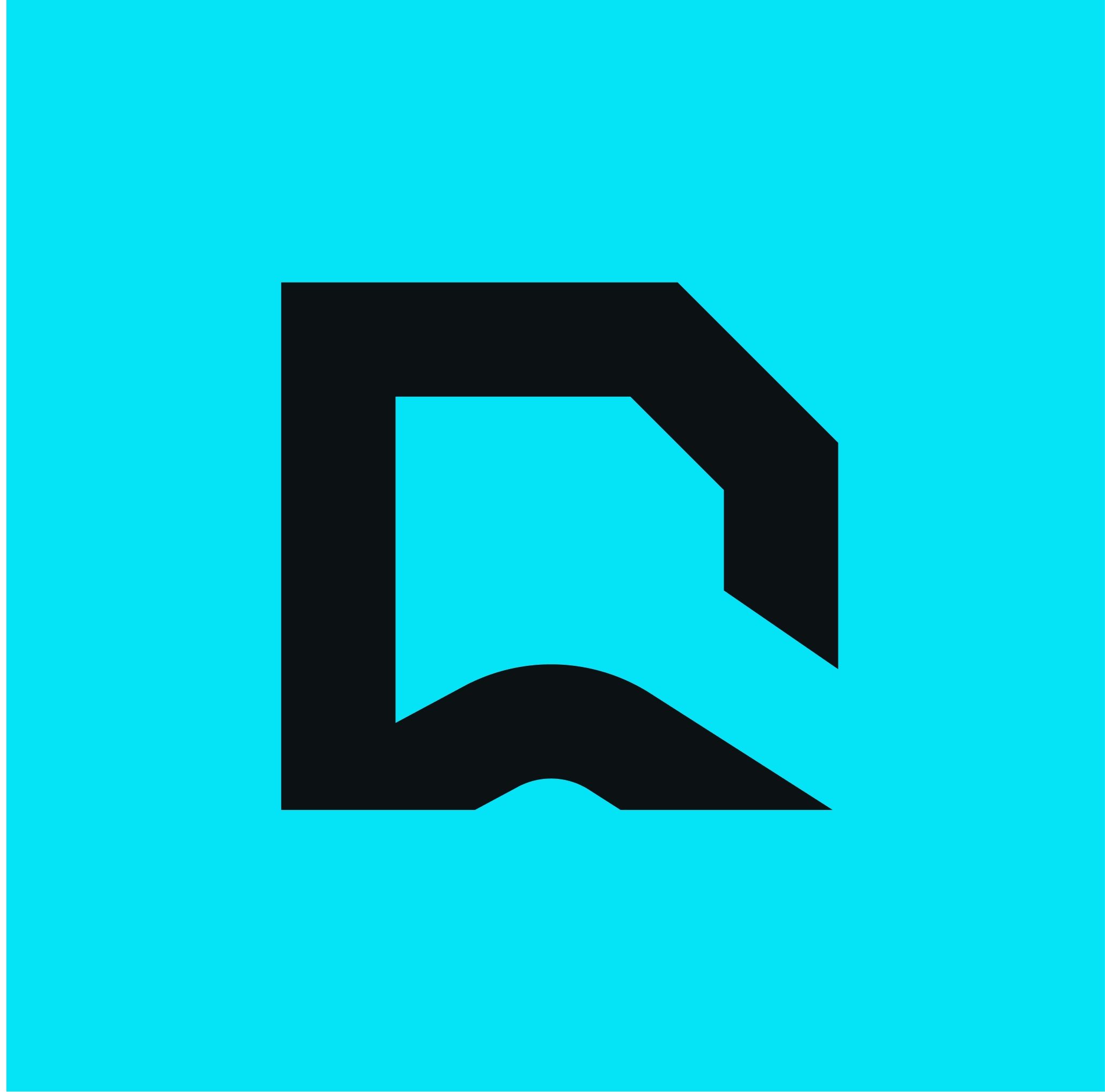 RoamFi Logo
