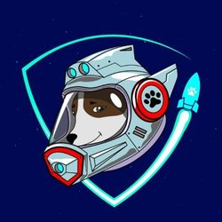 Safedog Protocol Logo