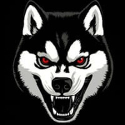 SAIKO INU Logo