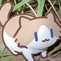 Salary Cat Logo