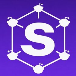 Saul Net Logo
