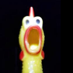 Logo Screaming Rubber Chicken