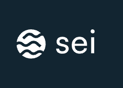 SEI Networks Logo