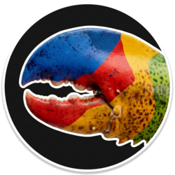 ShelleyBay Logo