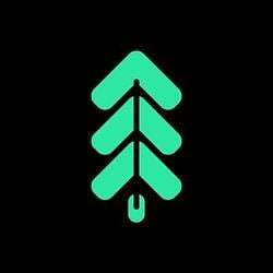 Sherwood Protocol Logo