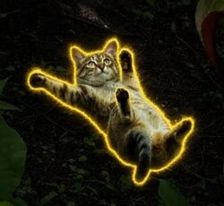 Sliding Cat Logo