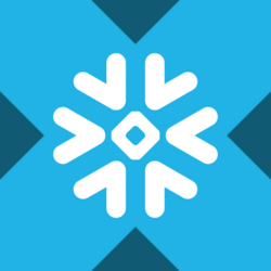 Snowflake xStock Logo