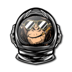 Space Monkey Logo