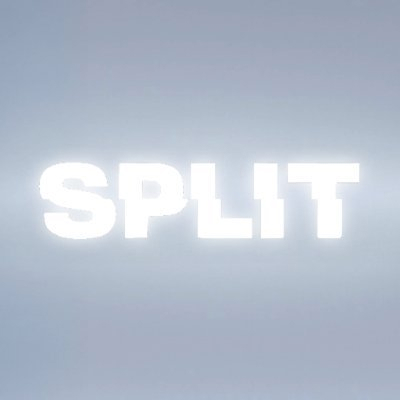 SplitSwap Logo