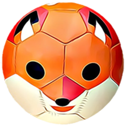 Sportoken Logo