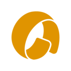 Deq Staked AVAIL Logo