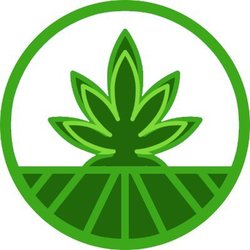 Strains Logo