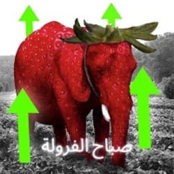 Strawberry Elephant Logo