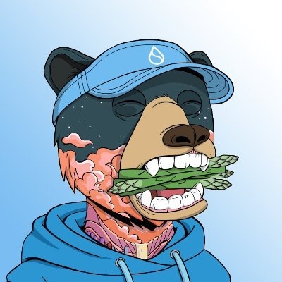 Sui Bears Logo