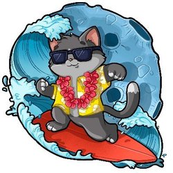 SurfMoon Logo