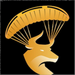 Sybulls Logo
