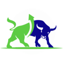 SymBULL Logo