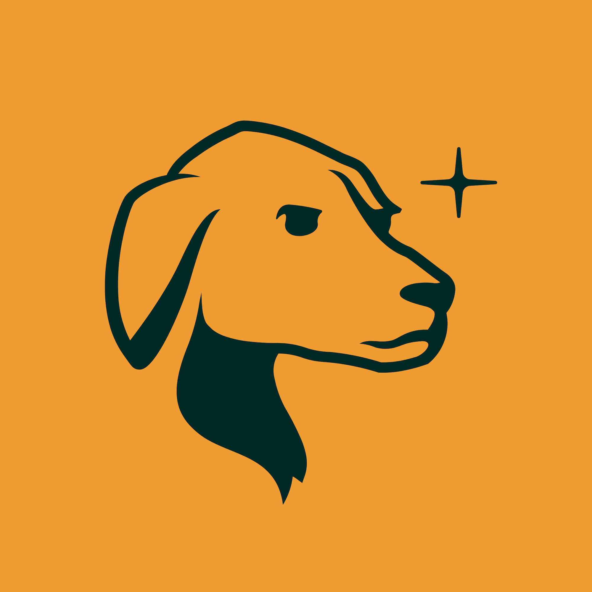 Taho Logo
