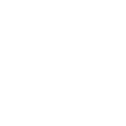 TaoPad Logo