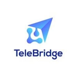 TeleBridge Logo