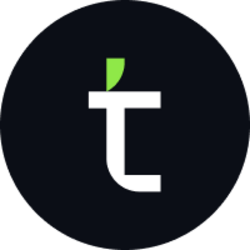 Terrace Logo