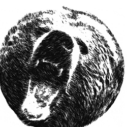 The Bear Logo
