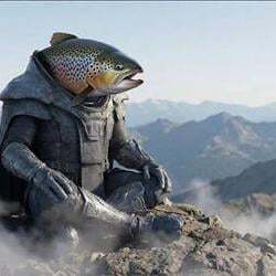 The Big Trout Logo
