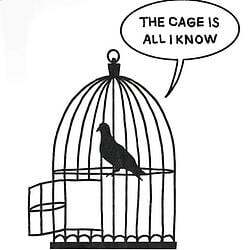 The cage is all I know Logo