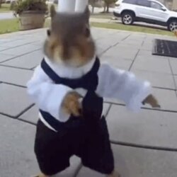 The Dancing Squirrel Logo