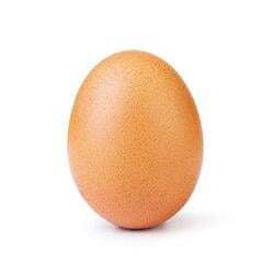THE EGG Logo