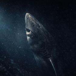 The Greenland Shark Logo