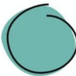 the imperfect coin Logo