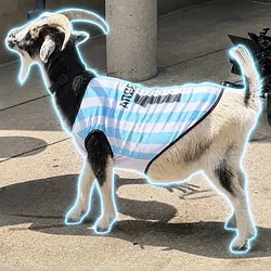 The Messi Goat Logo