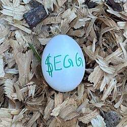 the most watched egg Logo