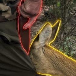 The Rousseauian Deer Logo