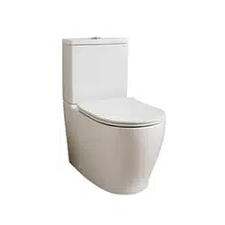 The Toilet Logo