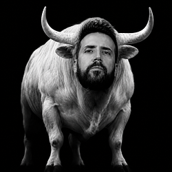 The White Bull Logo