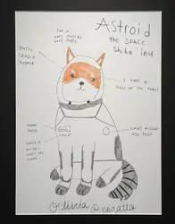 TheSpaceShibaInu Logo