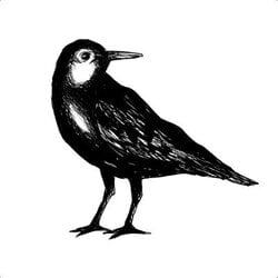 Tidalflats Logo