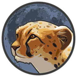 Token Cheetah Logo