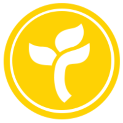 TopFlower Logo