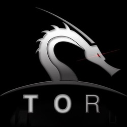 Torchain Logo